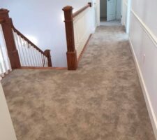 Floors carpet pres res